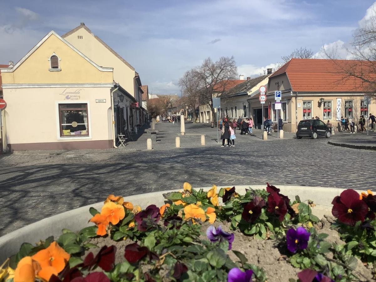 Poppy Flower Apartment Budapeszt Zewnętrze zdjęcie