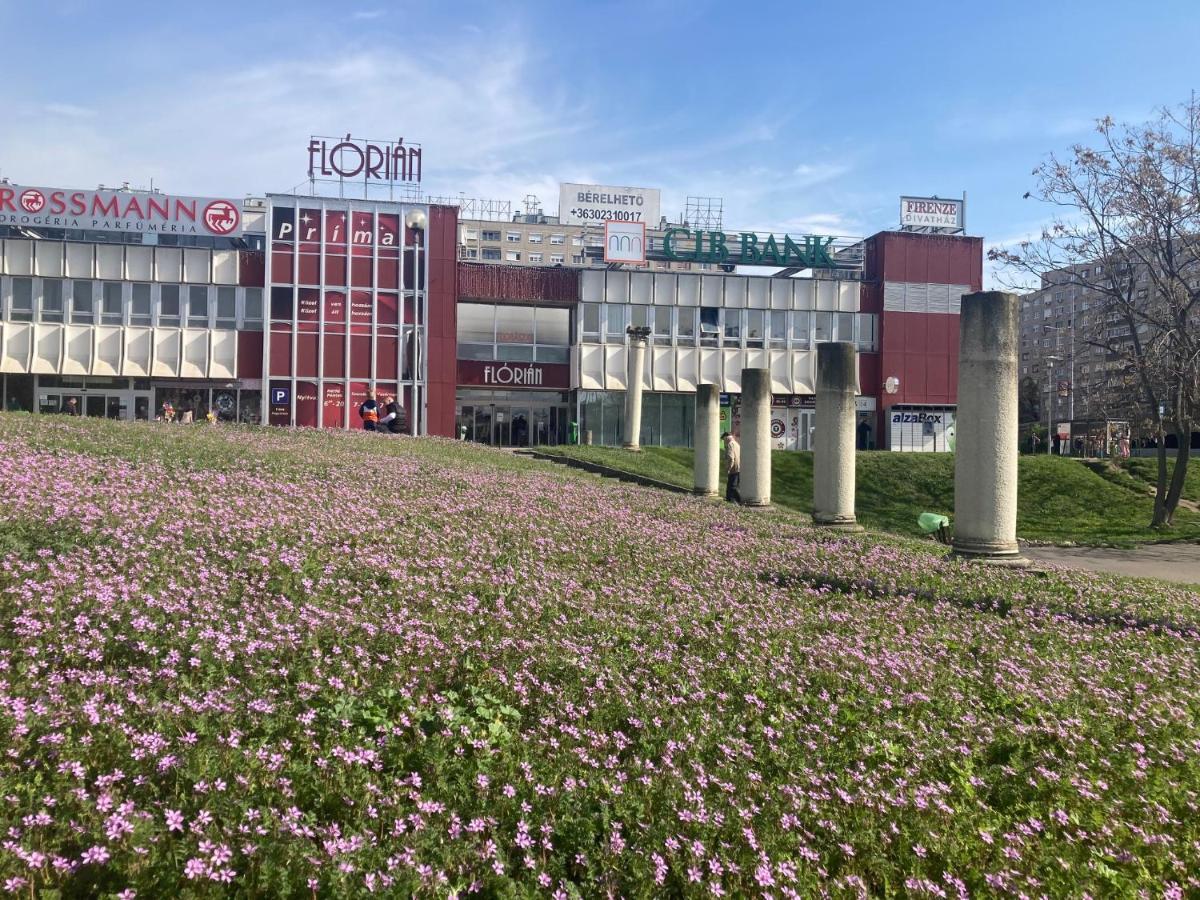 Poppy Flower Apartment Budapeszt Zewnętrze zdjęcie