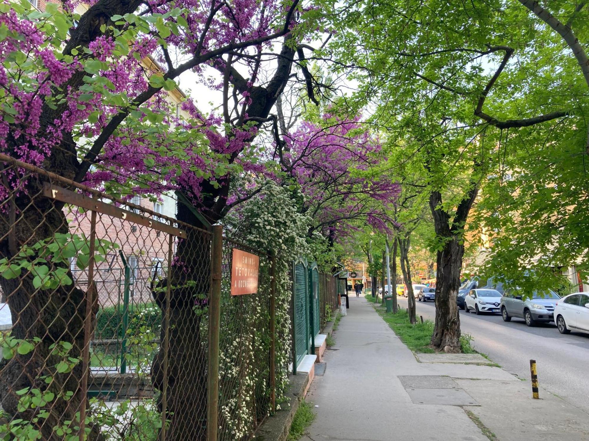 Poppy Flower Apartment Budapeszt Zewnętrze zdjęcie